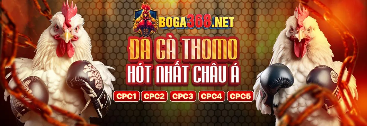 Đá gà FBC8 trực tiếp với không khí sôi động